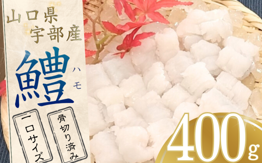 【宇部産】ハモ 400g 【一口サイズ】【ハモ はも 鱧 山口県産 宇部産 山口県宇部産 鮮魚 魚 処理済み 骨切り 湯引き 天ぷら 鍋 鍋料理 料理 大容量 一口サイズ 贈呈品 贈り物 返礼品】