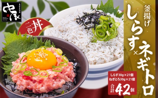 釜揚げしらすとネギトロ二色丼セット (しらす30g×21・ネギトロ30g×21／計42パック)  |  冷凍 小分け 釜揚しらす 魚 常備品 しらす丼 しらすパスタ しらすチャーハン 炒飯 しらす干し 海鮮丼 ねぎとろ まぐろ ねぎとろ丼 おつまみ たんぱく質 愛媛県 松山市 2298693 - 愛媛県松山市