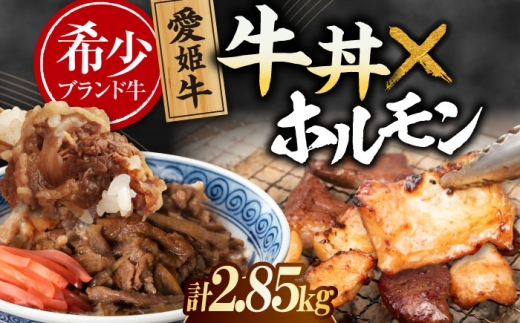 【冷凍】　愛姫牛 肉屋のこだわりお惣菜セット 牛丼×9食とミックスホルモン×1,500g 計2,85kg 愛媛県大洲市/有限会社 木村屋精肉店 牛丼 牛肉 和牛 牛 国産 [AGCC074]国産和牛 愛媛県産 大洲市産 人気 おすすめ ランキング 簡単 おいしい お肉 肉 国産肉 焼肉 送料無料 お取り寄せ グルメ ホルモン 冷凍 焼き肉 BBQ バーベキュー グルメ 簡単調理 牛皿 牛めし 2258573 - 愛媛県大洲市