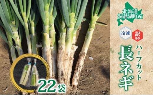 【大容量】役に立ちます 冷凍カット野菜 長ねぎ 訳あり 長ねぎ11本分(1/2本×22袋相当) 長ネギ 冷凍 カット 野菜 小分け 時短 弁当 簡単 調理 便利  国産 北海道 洞爺湖町