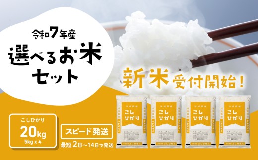 [最短発送]コシヒカリ 20kg 令和7年産 精米 白米 茨城県産 米 お米 すぐ届く すぐ発送 [SF296yai]