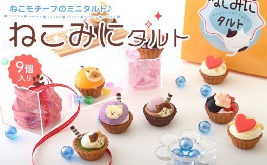 ねこみにタルト 9個入(春・夏バージョン)[タルト スイーツ チョコ チョコだいふく 紫いも 生クリーム クリーム セット商品 岡山県 おすすめ 人気 ]