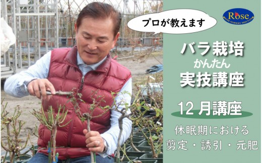プロが教えるバラ栽培実技講座【12月：剪定・誘引・元肥】 2258227 - 愛知県稲沢市