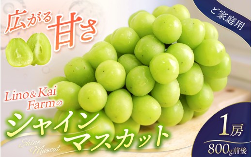【2025年先行予約】【ご家庭用】岡山のシャインマスカット 1房 （約800g）化粧箱入 Lino＆Kai Farm 【2025年10月上旬～順次発送】 / 朝採れ ぶどう 岡山  真庭市 シャインマスカット 高級 ギフト 大粒 果物 贈答 人気 産地直送 国産 安全 数量限定 種なし 食べチョクアワード 受賞