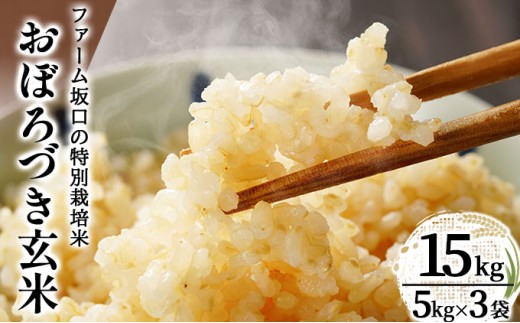 令和7年産!ファーム坂口の特別栽培米 おぼろづき玄米 15kg(5kg×3) | 北海道岩見沢産 おぼろづき 玄米 5kg 10kg 15kg 30kg 北海道 岩見沢市 2258990 - 北海道岩見沢市