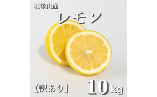 和歌山産 レモン 10kg  ［訳あり］ ［US3］ 1396138 - 和歌山県九度山町