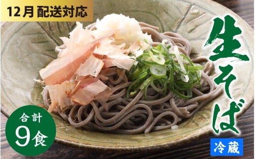 【先行予約 年末特集】ヤマサ製麺 越前そば 9食 （3食袋×3） [A-120003_sp] / 越前蕎麦 おろしそば そば 蕎麦 福井 越前 冷蔵配送