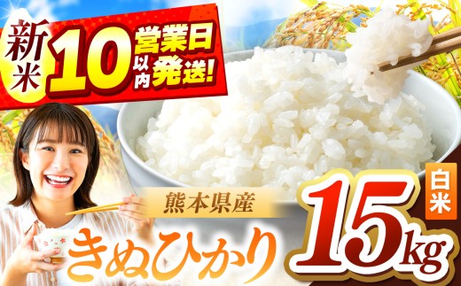 令和7年産 きぬひかり 15kg | お米 米 こめ おこめ 精米 キヌヒカリ 15キロ 国産 国産米 定期 くまもと 熊本 熊本県 玉名市 玉名