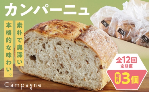 【全12回定期便】【冷凍】カンパーニュ3種セット (プレーン・いちじく・五穀) 愛媛県大洲市/株式会社アライ 冷凍パン ハードパン 食事パン 朝食 ベーカリー 冷凍 [AGAY053] 2258561 - 愛媛県大洲市