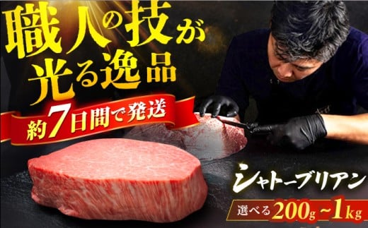 【選べる枚数】博多和牛 シャトーブリアン 200g×1枚～200g×5枚 ステーキ 牛肉 ステーキ肉 牛ステーキ ステーキ シャトーブリアン ステーキ用 ヒレ ヒレステーキ 赤身ステーキ 希少部位 ステーキ スピード配送 広川町 / 久田精肉店株式会社 [AFBV023]