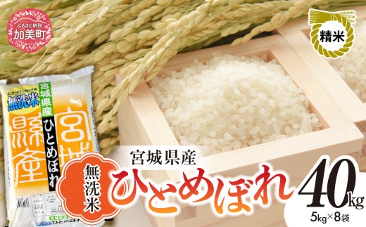 【先行予約】 令和7年度産 無洗米 宮城 ひとめぼれ 40kg ( 5kg × 8袋 ) | 菅原精米工業 宮城県 加美町 sw-hb40-mu-r7| ヒトメボレ 米 お米 コメ ごはん 2259277 - 宮城県加美町