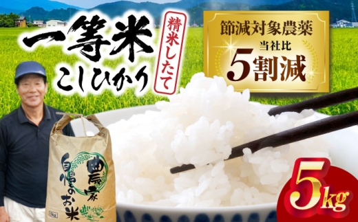 [令和7年産新米] コシヒカリ 5kg 滋賀県長浜市/狩野農園 [AQDK001]