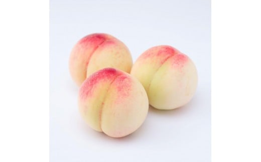 和歌山県産 桃 12玉～16玉 約4kg 秀品［AS4］ 1363320 - 和歌山県九度山町