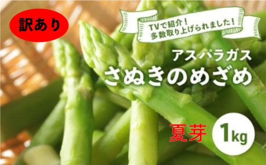 【訳あり】【先行予約】 アスパラガス さぬきのめざめ 夏芽 1kg アスパラ グリーンアスパラ 野菜 やさい 旬 旬の野菜 季節の野菜 産地直送 香川 香川県 丸亀 丸亀市 冷蔵 冷蔵配送 疲労回復 免疫力向上 食物繊維 ビタミンC 柔らかい 甘い 料理 おかず アスパラベーコン巻き 炒め フライ ポタージュ ふるさと納税アスパラ ふるさと納税野菜 株式会社五色青果