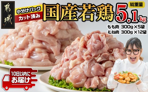 国産若鶏5.1kg 小分けパック!カット済み!_MJ-3314_(都城市) もも肉300g×5P むね肉300g×12P 鶏肉 小分け 若鶏 宮崎 冷凍 