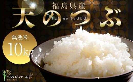 〈先行予約〉令和7年産 農家直送 ベルライスファームの天のつぶ 無洗米10kg F6U-129