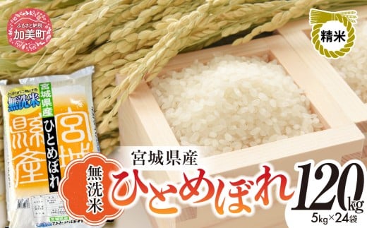 【先行予約】 令和7年度産 無洗米 宮城 ひとめぼれ 120kg ( 5kg × 24袋 ) | 菅原精米工業 宮城県 加美町 sw-hb120-mu-r7| ヒトメボレ 米 お米 コメ ごはん 2259281 - 宮城県加美町