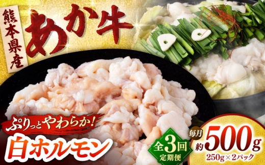 [全3回定期便]あか牛 白 ホルモン 500g (250g×2P) [合同会社 長岡フーズ] 