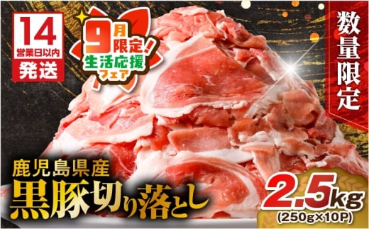 【 期間限定 生活応援 】【14営業日以内に発送】 【数量限定】鹿児島県産 黒豚切り落とし 2.5kg　K025-001_05_cp