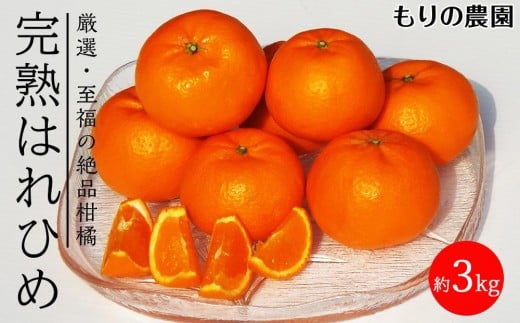 はれひめ「みかんの甘み」と「オレンジの香り」の新品種！3kg【もりの農園 柑橘 果物 フルーツ 人気 おすすめ 瀬戸内 広島県  尾道市】 1102728 - 広島県尾道市