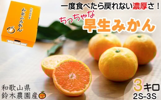 早生みかん 約3kg 希少な小粒 2S～3S サイズ 混合 11月中旬～12月下旬頃に鈴木みかん農園より農園直送 3Sサイズ 2Sサイズ 2S SS 小玉 小さい※北海道・沖縄・離島への配送不可 ミカン 蜜柑 mikan 温州みかん 温州ミカン 2254597 - 和歌山県海南市