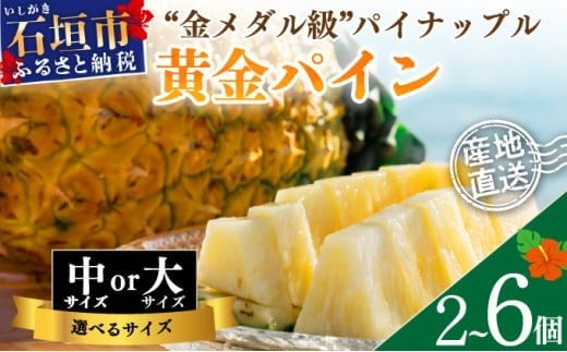 [大きさと数量が選べる]先行予約[2025年夏季 順次発送]黄金パイン大玉2〜6個入 計3.0〜9.0kg または 中玉黄金パイン2〜6玉 約2.6〜7.8kg