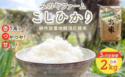 [3ヶ月定期便]令和7年産新米 こしひかり 2kg(白米) みのやファームの耕作放棄地解消応援米 [ コシヒカリ こしひかり おいしいお米 自然栽培 贈り物 ギフト 千葉県 御宿町 人気 おすすめ ランキング ]