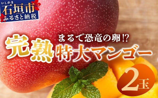 《2025年6月下旬～7月発送》【先行予約】最高糖度20度！？ まるで恐竜の卵！？完熟超特大マンゴー2個入り【 沖縄 石垣 八重山 マンゴー 完熟 期間限定 数量限定 特大 大玉 】TF-30