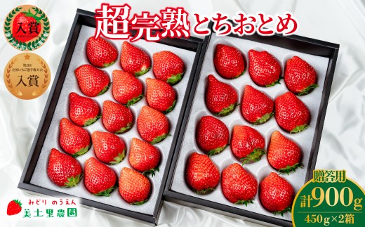 【先行受付：2月以降発送】いちご「茂木完熟いちご」　美土里農園の朝採れ とちおとめ ギフト 450g×2箱 合計 900g | いちご イチゴ 苺 とちおとめ 完熟 甘い あまい 果物 フルーツ 贈答 ギフト プレゼント 美土里農園 栃木県 茂木町