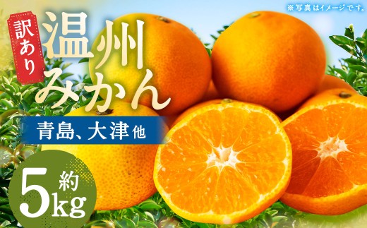[訳あり] 長崎県時津町産 温州みかん (青島、大津他) 約5kg (2L〜3Lサイズ) [2025年12月下旬〜2026年1月下旬迄発送予定] 5キロ 蜜柑 みかん 柑橘 果物 果実 フルーツ 国産 九州 長崎県 時津町 常温