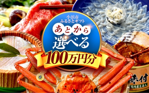 [あとから選べる] 福井県小浜市ふるさとギフト 100万円分 海産物 箸 お米 スイーツ あとから ギフト [BFDV027]