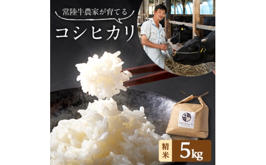 令和7年産 茨城県産 常陸牛農家が育てた コシヒカリ 精米 5kg【1354560】 2259688 - 茨城県茨城県庁