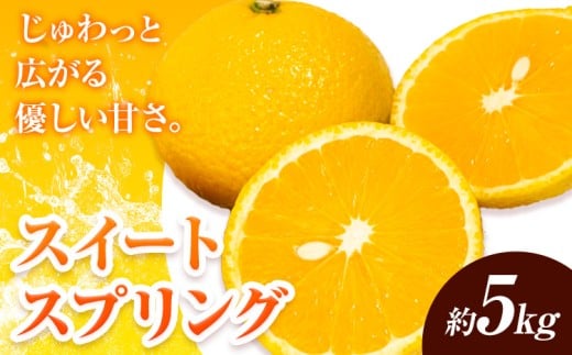 【先行予約】みかん スイートスプリング 5kg 高橋商店《11月下旬-2月中旬頃出荷》熊本県 苓北町 柑橘 かんきつ 果物 フルーツ 送料無料 スイート スプリング