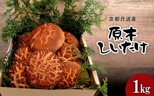 【2025年12月中旬より順次発送!】京都丹波産 原木しいたけ 1kg 【ふるさと納税 しいたけ シイタケ 椎茸 原木 自家栽培 煮物 炒め物 京都府 福知山市】FCFB005 2258170 - 京都府福知山市