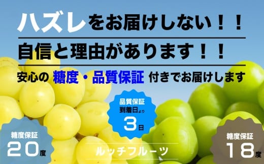 【黄色く完熟】大人シャインマスカット®食べ比べセット 合計 約1kg【数量超限定】旬の美味しいフルーツだけをお届けします【ルッチ Rucci】産地直送 山梨県 笛吹市 糖度 品質 保証 葡萄 ぶどう 新鮮 旬 くだもの 果物 フルーツ 人気 ランキング リピート 高評価 ギフト 贈答 贈り物 化粧箱 2025年 令和7年 期間限定 テレビで紹介 104-002