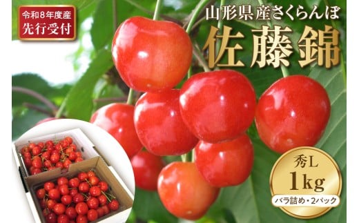 【2026年産先行予約】さくらんぼ佐藤錦 秀L 1kg以上(500gバラ詰め×2パック) 山形県河北町産【晴天畑】 さくらんぼ 贈答 ギフト 佐藤錦 秀品 先行予約 令和8年産  ka073-007