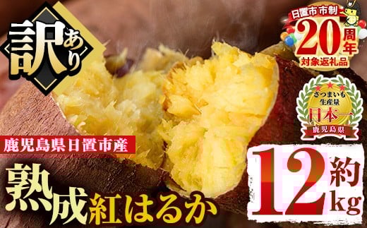 No.560-B ＜訳あり・不揃い＞鹿児島県日置市産さつまいも！熟成紅はるか(約12kg) 国産 九州産 サツマイモ さつま芋 訳アリ 紅春香 熟成 芋 焼き芋 やきいも 野菜 スイーツ 常温 常温保存【末永商店】