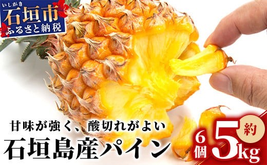  【先行受付】石垣パイン 6個セット ボゴール種【2025年5月初旬～6月初旬発送予定】MI-5-1 パイナップル パインアップル 石垣島パイン フルーツ 果物 くだもの 南国フルーツ 国産パイン