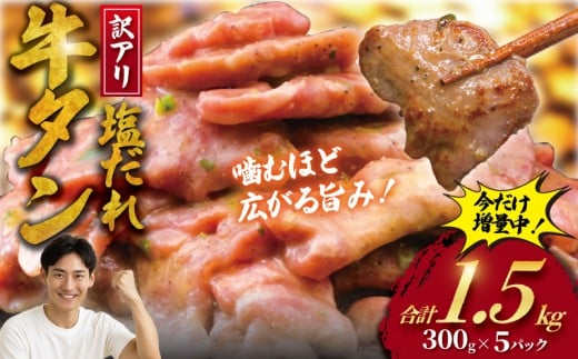 牛タン 計 1.5kg 国産牛 塩ダレ ( 300g × 5 パック )  切り落とし 牛たん 牛 たん タン 牛肉 塩 たれ タレ 味付 gyutan 訳アリ 訳有 訳有り わけあり 訳あり品 ワケアリ 焼肉 おすすめ 肉 お肉 ビーフ ぎゅうにく 簡単調理 BBQ おかず 冷凍 焼き肉 タカギフーズ 神奈川 湘南 藤沢 2257811 - 神奈川県藤沢市