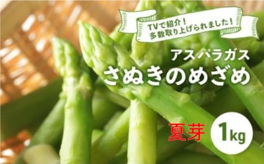 【9月末まで】 アスパラガス さぬきのめざめ 夏芽 1kg アスパラ グリーンアスパラ 野菜 やさい 旬 旬の野菜 季節の野菜 産地直送 香川 香川県 丸亀 丸亀市 冷蔵 冷蔵配送 疲労回復 免疫力向上 食物繊維 ビタミンC 柔らかい 甘い 料理 おかず アスパラベーコン巻き 炒め フライ ポタージュ ふるさと納税アスパラ ふるさと納税野菜 株式会社五色青果