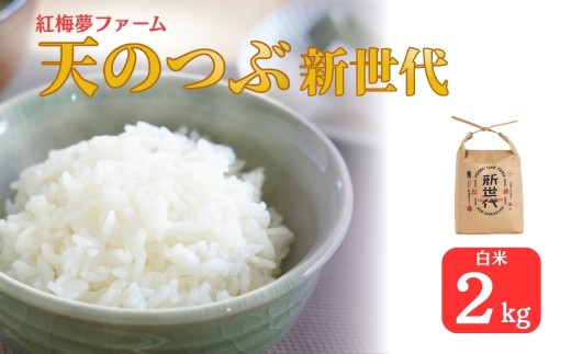 【先行予約】新米 天のつぶ「新世代」 白米 2kg | 令和7年産 2025年産 米2kg 精米 米2キロ ごはん 福島県産 南相馬 福島 紅梅夢ファーム 1016747 - 福島県南相馬市