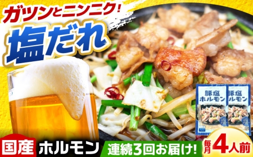 [3回定期便]岐阜県産豚もつの鉄板焼き「元祖みたけとんちゃん」豚塩味(4人前) / モツ もつ 白もつ ホルモン / 御嵩町 / 藤よし [AVAA058]