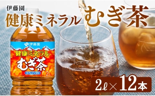 健康ミネラルむぎ茶 2L×6本×2ケース 飲料類 お茶 麦茶
