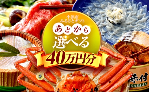 [あとから選べる] 福井県小浜市ふるさとギフト 40万円分 海産物 箸 お米 スイーツ あとから ギフト [BFDV021]
