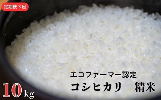 《定期便3ヶ月》 令和7年産 新米【エコファーマー認定】 コシヒカリ 白米 10kg ／ 米 こめ コメ ごはん ご飯 お米 おこめ 精米 白米 新米 エコファーマー認定 10kg 定期便 令和7年 千葉県 東庄町 産地直送 2268643 - 千葉県東庄町