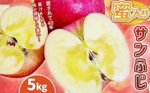 農園直送 長野市産「蜜入りサンふじ」 5kg(小林紀美園)りんご 林檎