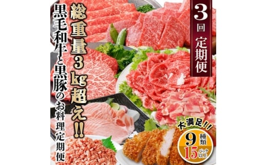 総重量3Kg越え、鹿児島県産黒毛和牛と黒豚のお料理定期便(3回配送)　EE0-0002_ 定期便 黒毛和牛 豚ロース 黒豚 牛すじ ミンチ 肉 おすすめ 送料無料 贈答 ギフト 【1504377】
