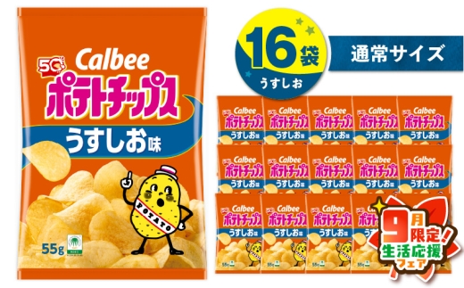 【 期間限定 生活応援 】カルビー ポテトチップス【うすしお】16袋 K194-002_03 2012762 - 鹿児島県鹿児島市