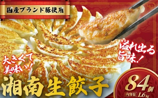 餃子 ぎょうざ 84個 (42個 × 2 パック) 肉汁たっぷり 大きい 国産 ブランド豚 ルイビ豚 小分け 豚肉 野菜 湘南餃子 湘南ぎょうざ 焼き餃子 gyouza ギョーザ 冷凍餃子 生餃子 冷凍 ご飯 おかず 冷凍食品 中華 おつまみ 簡単調理 時短 簡易包装 手作り餃子 サノフーズ 神奈川 湘南 藤沢