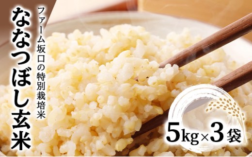 令和7年産!ファーム坂口の特別栽培米 ななつぼし玄米 15kg(5kg×3) 2258987 - 北海道岩見沢市